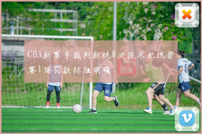 CBA新赛季裁判新规8次技术犯规禁赛1场罚款标准明确