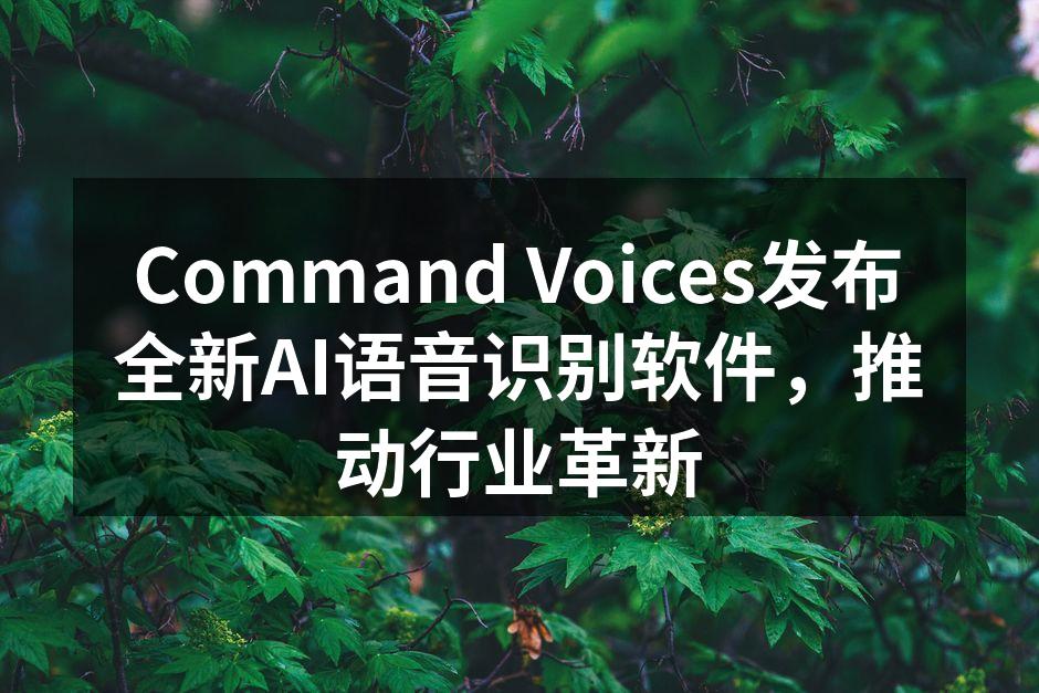 Command Voices软件界面展示