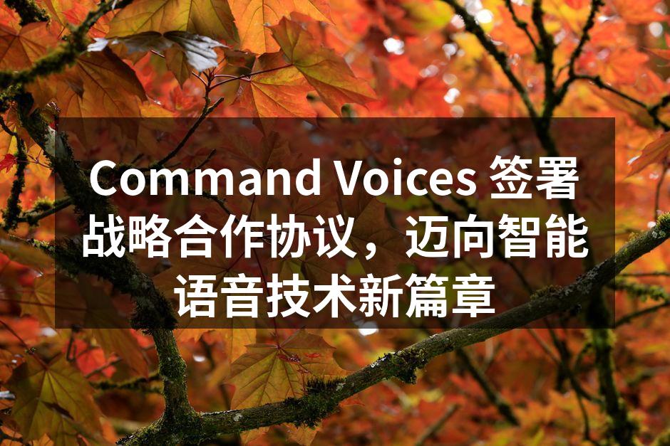 Command Voices 签署战略合作协议，迈向智能语音技术新篇章