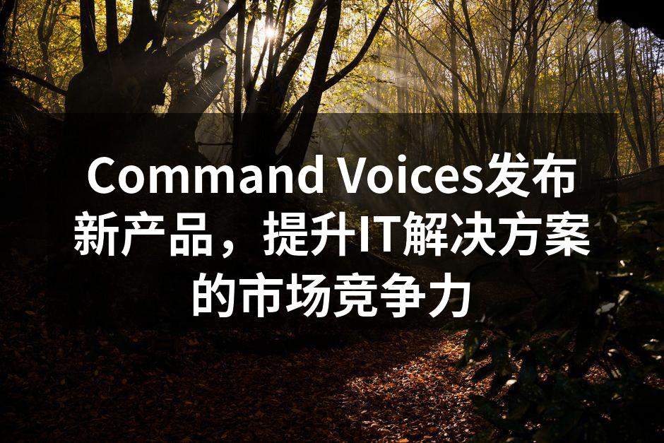 Command Voices新产品发布会现场